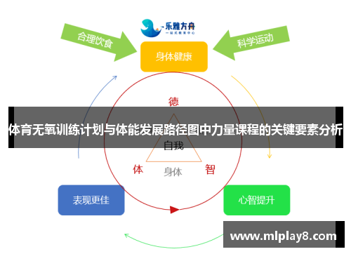 体育无氧训练计划与体能发展路径图中力量课程的关键要素分析