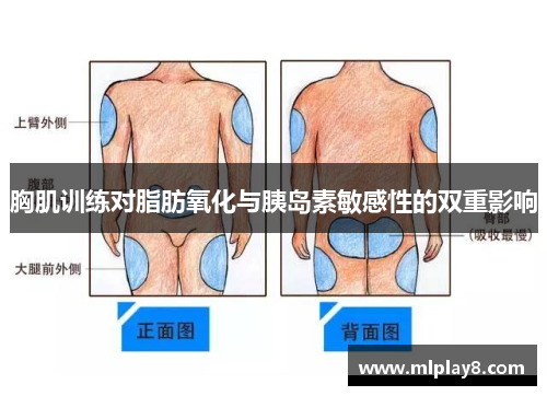 胸肌训练对脂肪氧化与胰岛素敏感性的双重影响